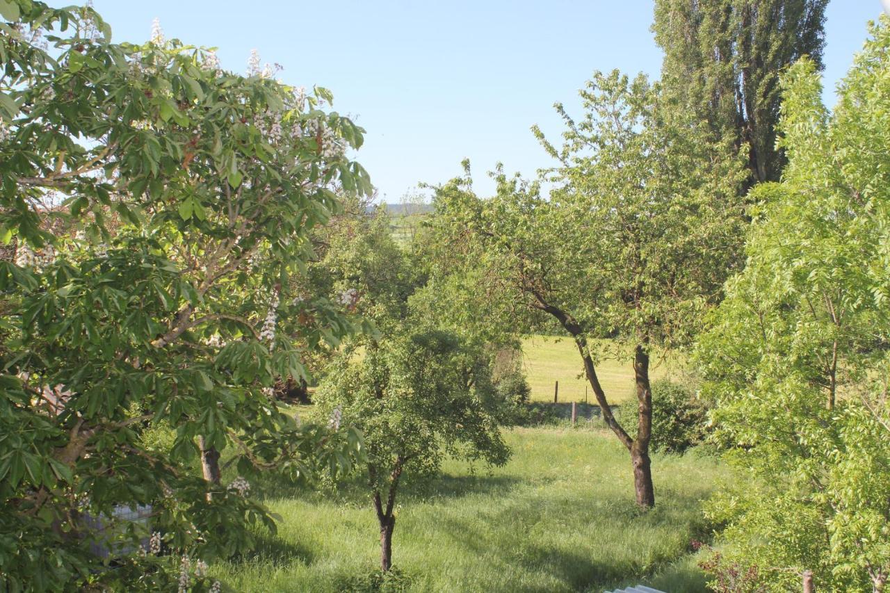 Fewo Am Schlossberg Neusitz  Esterno foto