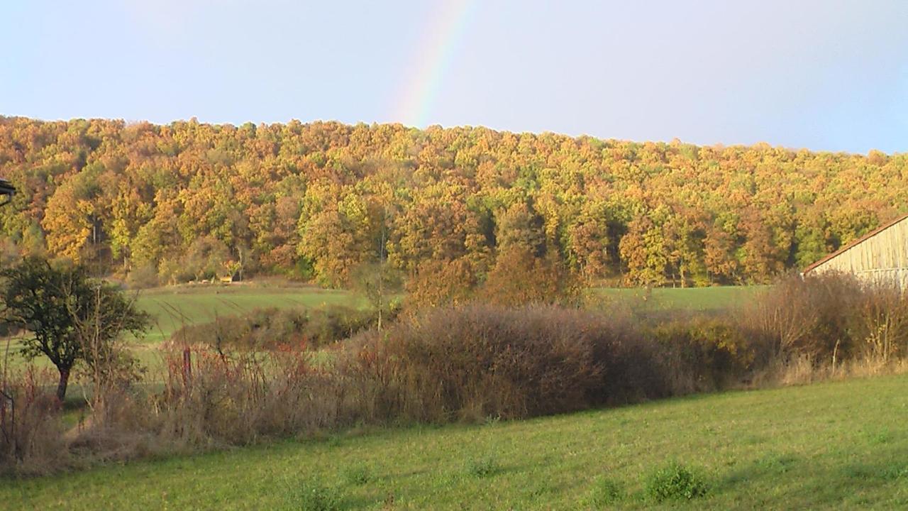 Fewo Am Schlossberg Neusitz  Esterno foto